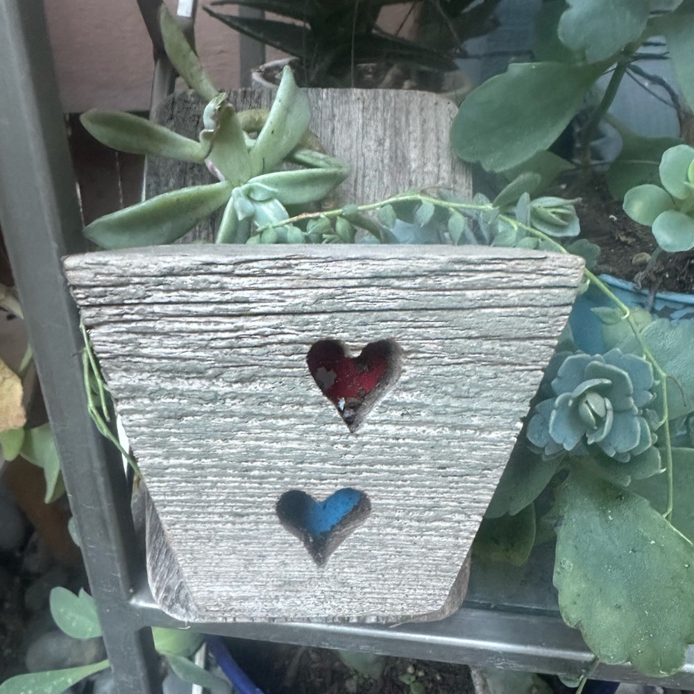 Miniature succulent planter - air plant holder - Rustic decor - Reclaimed wood
